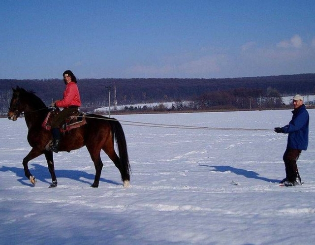 Ski joering proche Embrun